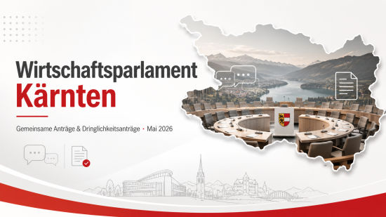 Wirtschaftsparlament Beispielbild